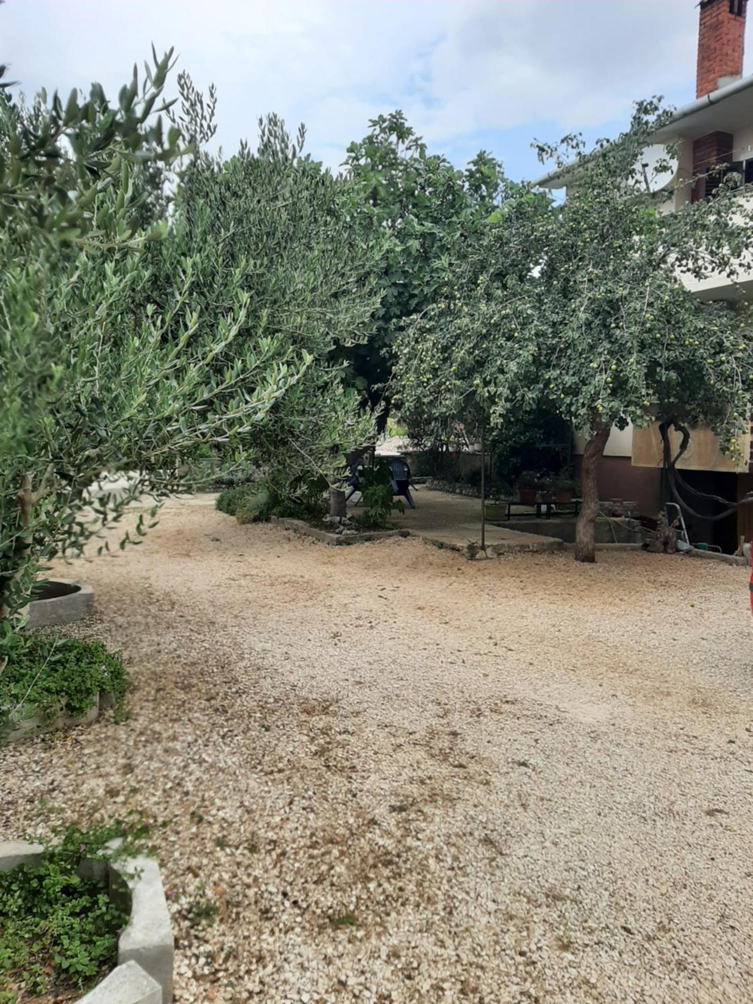 Apartmani Marija 波弗加纳 客房 照片