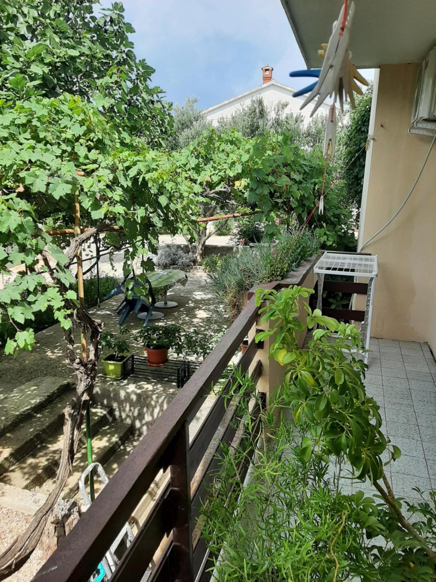 Apartmani Marija 波弗加纳 客房 照片