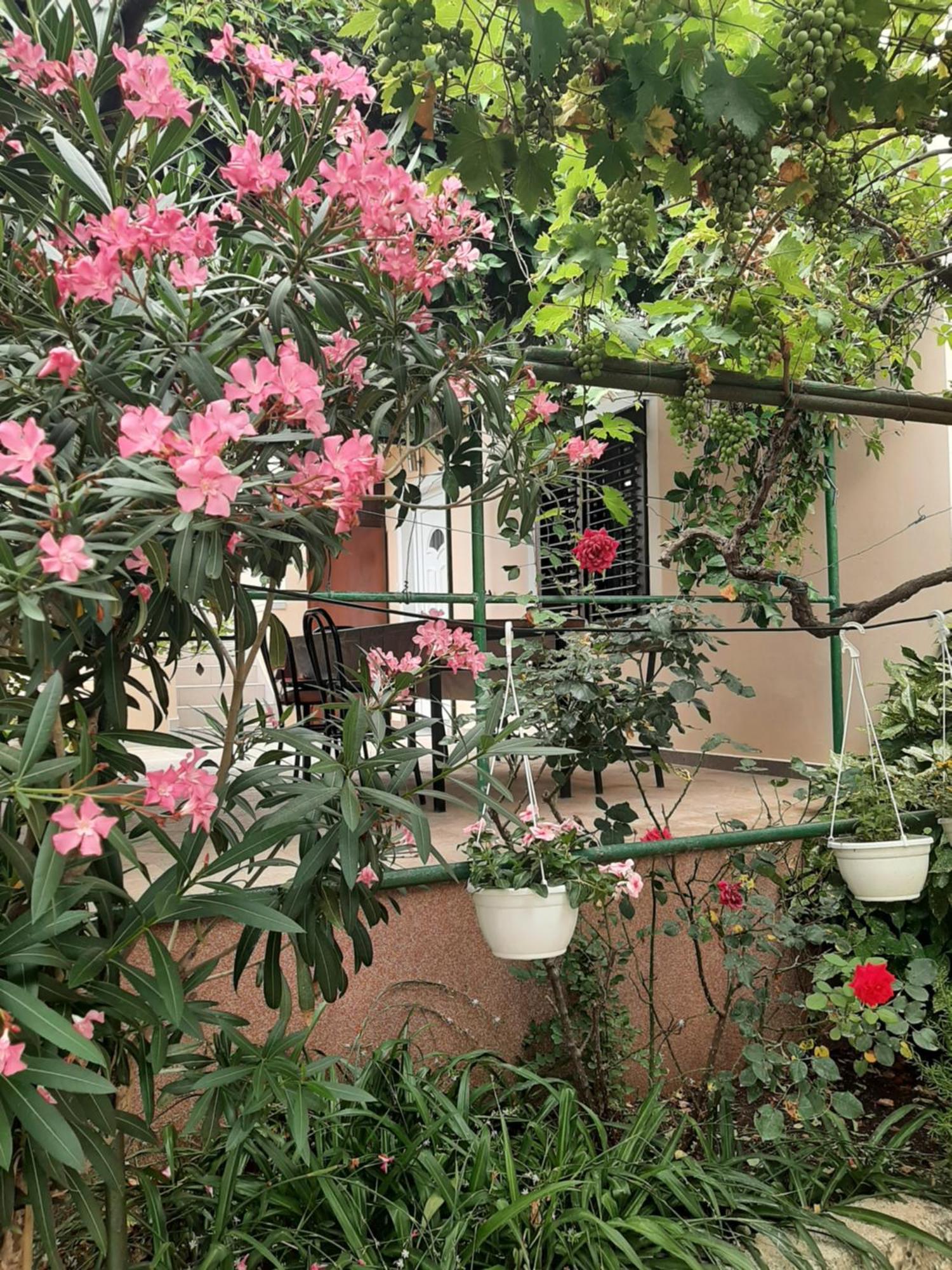 Apartmani Marija 波弗加纳 客房 照片