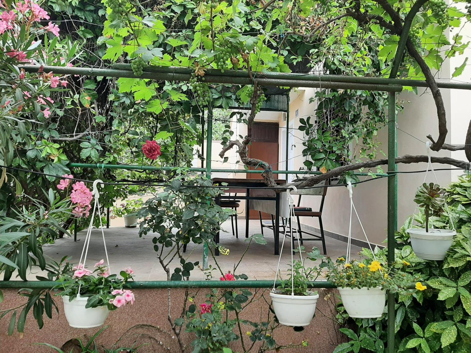 Apartmani Marija 波弗加纳 客房 照片