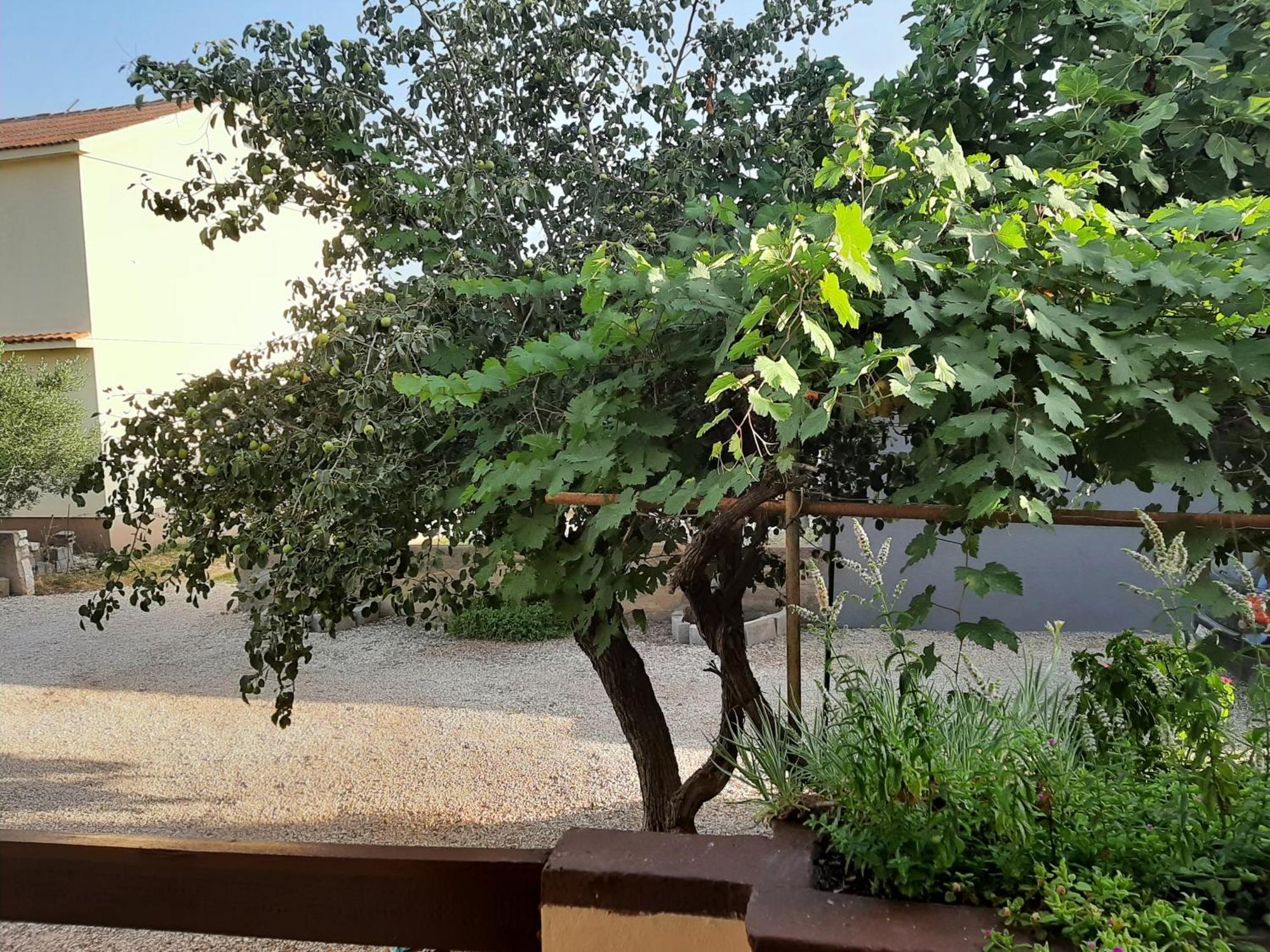 Apartmani Marija 波弗加纳 客房 照片