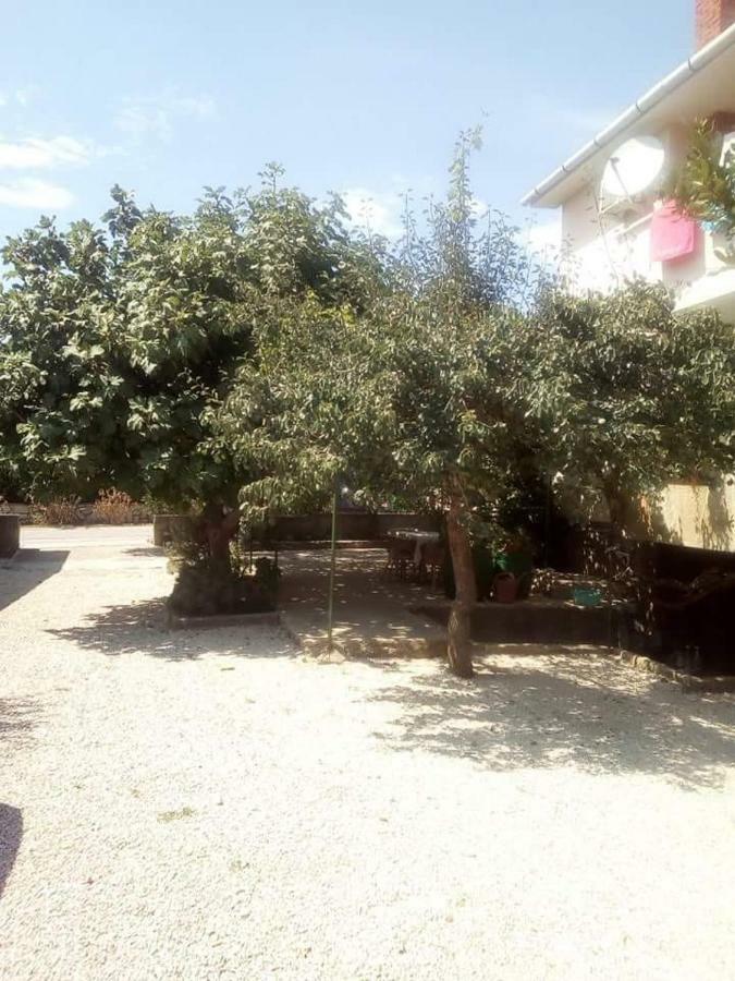 Apartmani Marija 波弗加纳 外观 照片